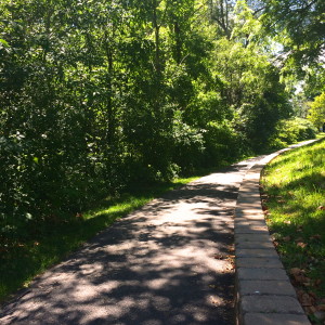 This is a section of the end of Johnston Walk. The Community Parkway Johnston sought to create is still very much intact today, and in many places has been integrated with other efforts to beautify Oberlin and memorialize the history of the town.  Source: R. Debus